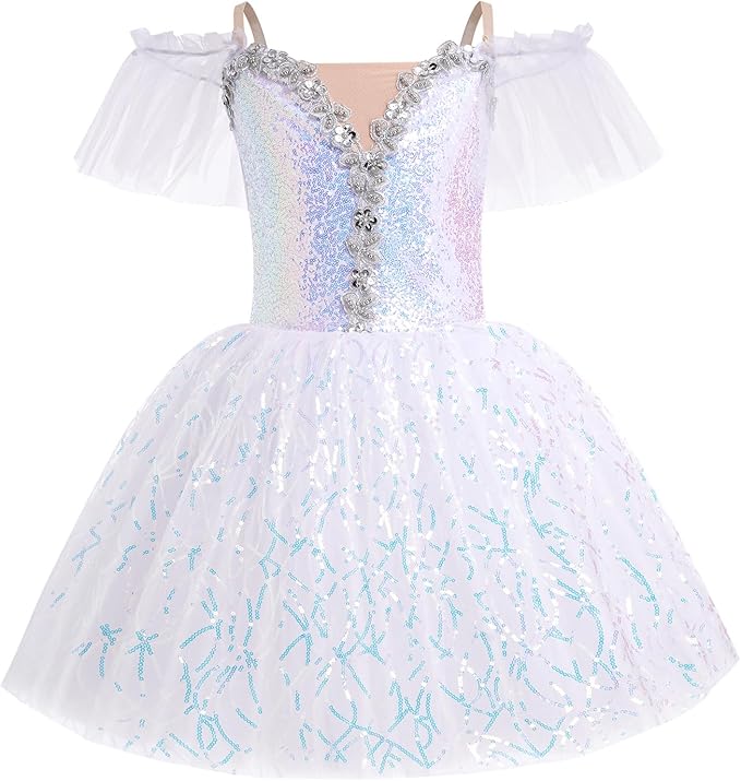 Girls Embroidered Tulle Lace Purple Leotard Dress