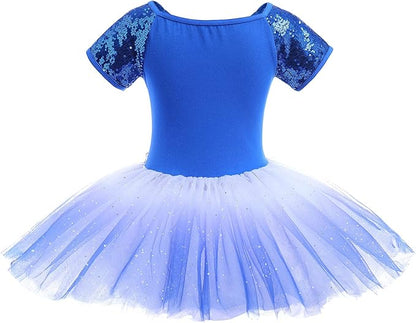 Girl's Blue Short Sleeve Ballerina Tulle Dress