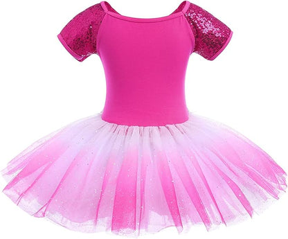 Girl's Blue Short Sleeve Ballerina Tulle Dress