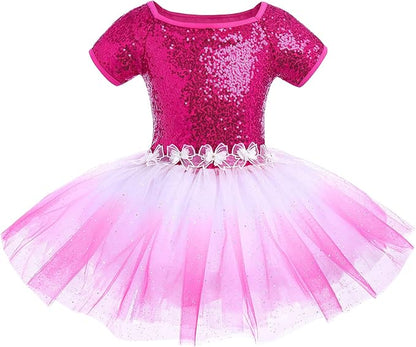 Girl's Blue Short Sleeve Ballerina Tulle Dress