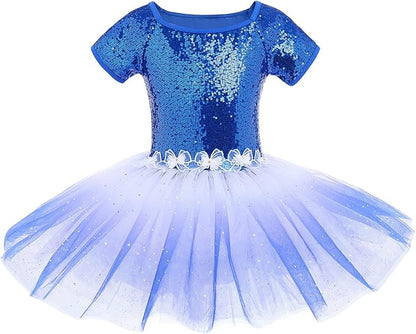 Girl's Blue Short Sleeve Ballerina Tulle Dress